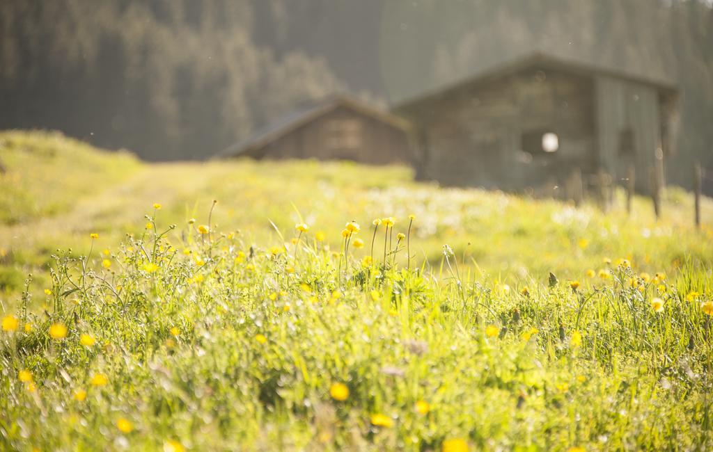 Pension Daniel Lech am Arlberg Bagian luar foto